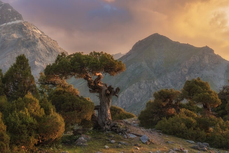 Закат над Куликалонской долиной фото превью