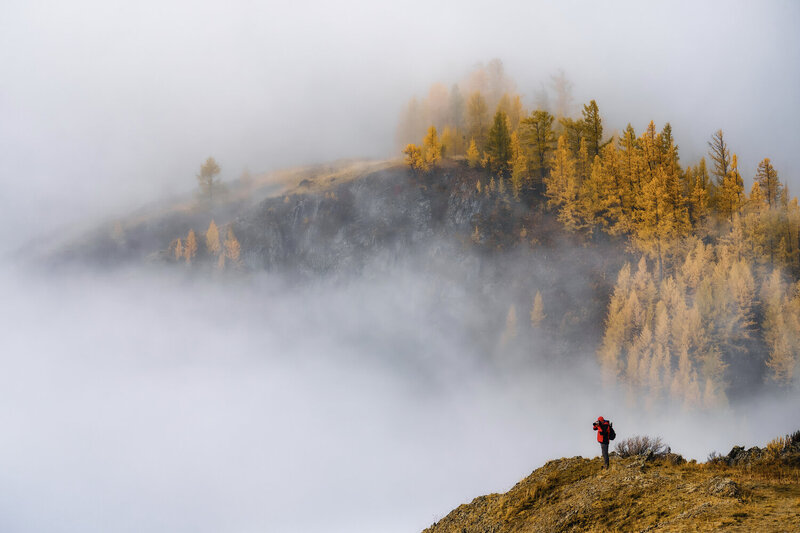 altay, autumn, landscape, fog, trees, misty, mood In frame фото превью