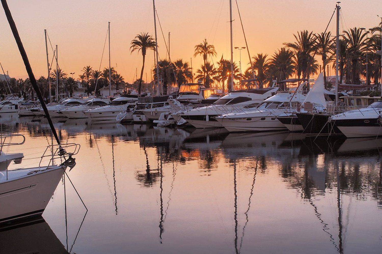 , Игорь Дубровский