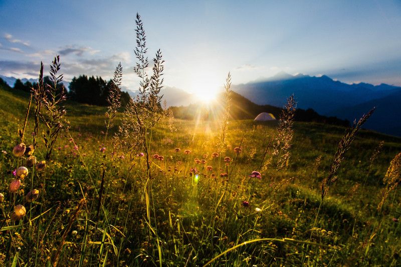 рассвет, кавказ, горы, сванетия, грузия, луг, цветы, лето, summer, svaneti, caucasus, georgia,flower, sunrise Начало нового дня фото превью