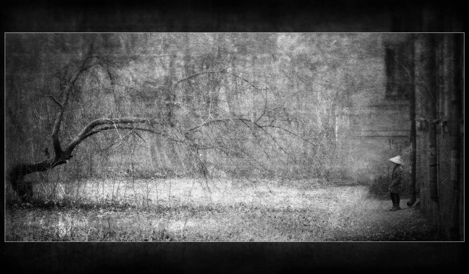 , Владислав Холодков