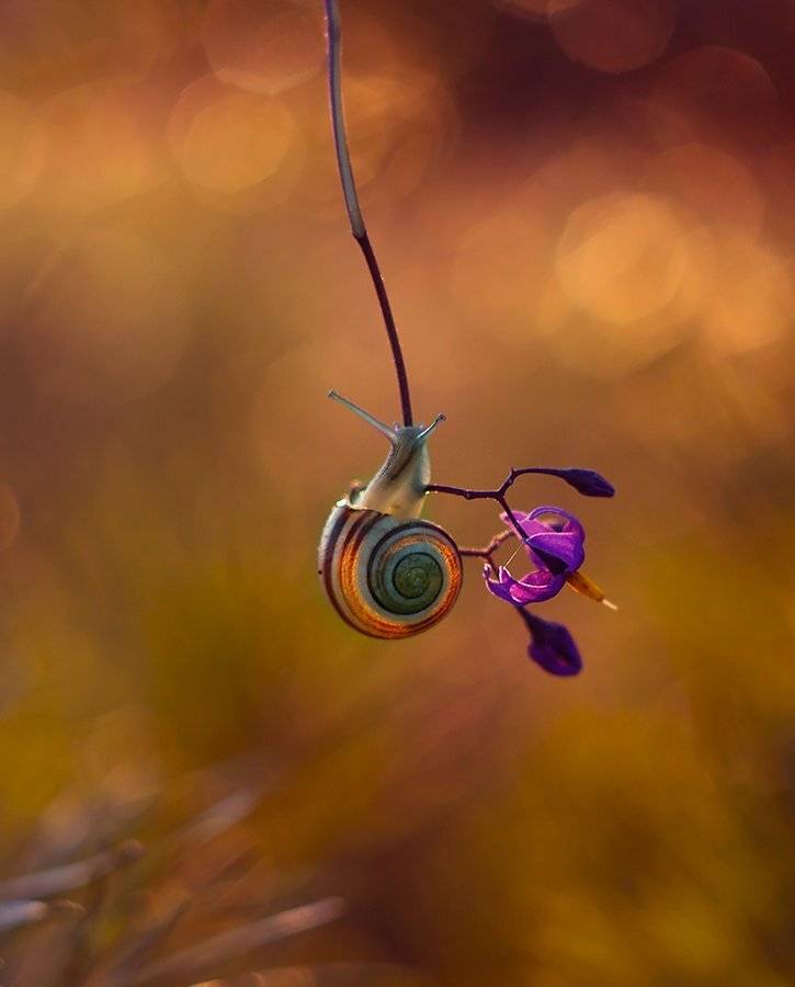 , Pawel Plucinski