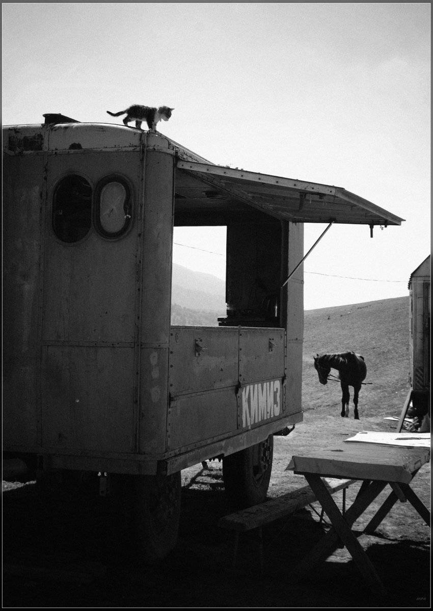 , Ильдар Садыков