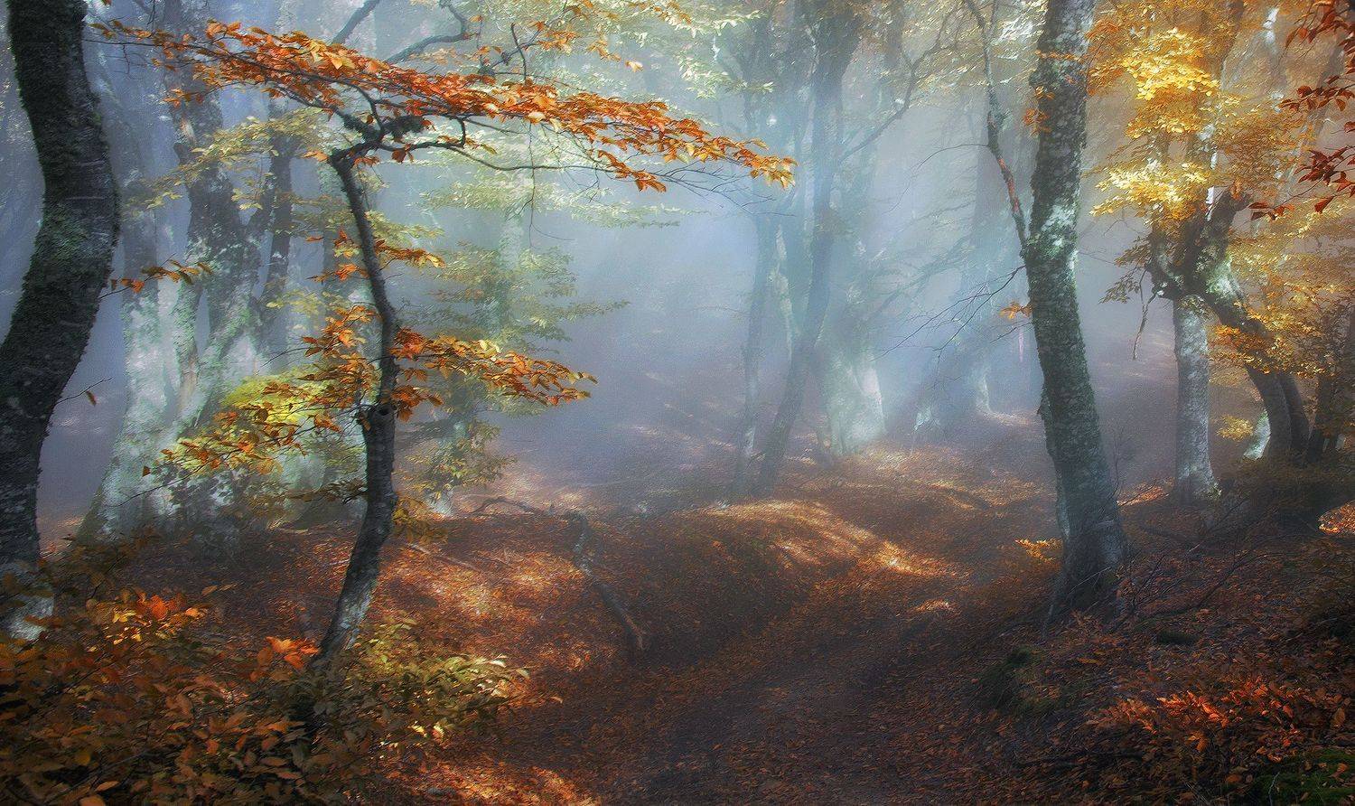 , Милокост Алексей