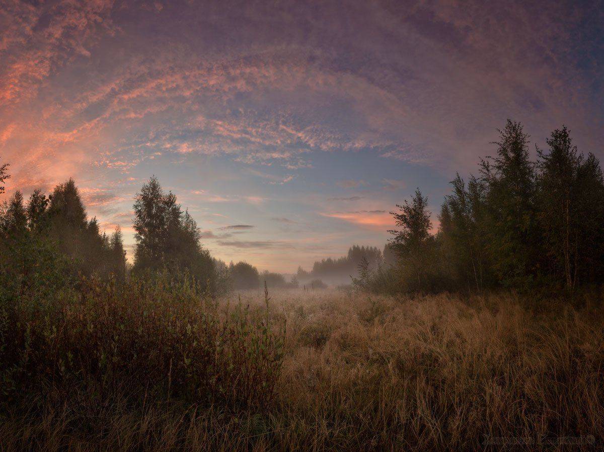 , Хохряков Николай