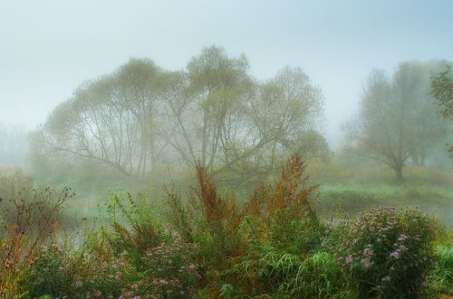 Наступила осень у реки