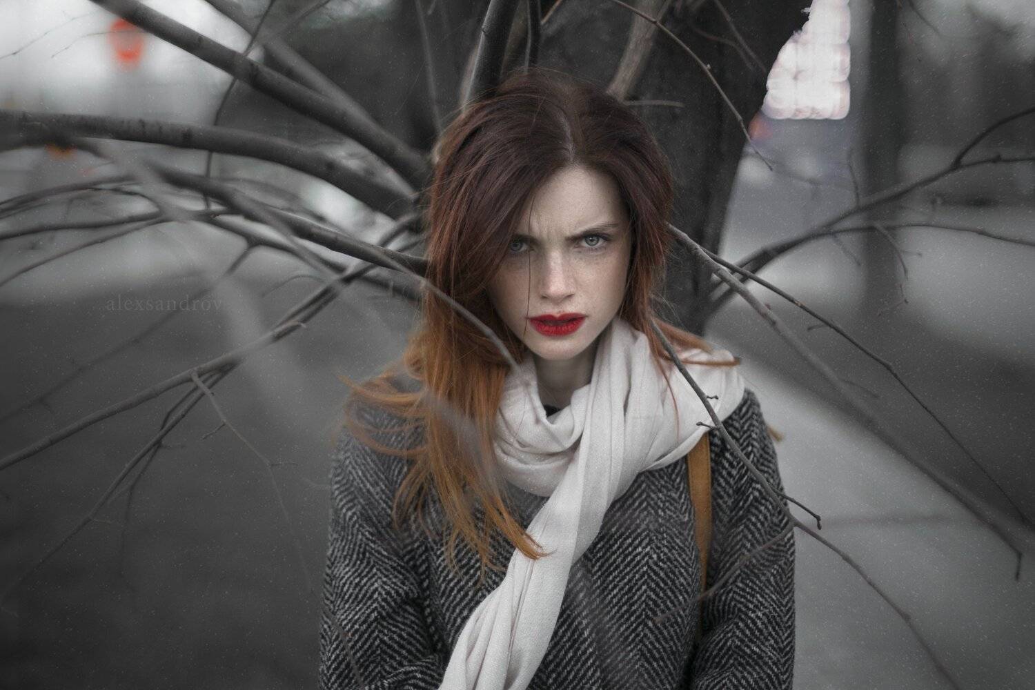 портрет, Дмитрий Александров