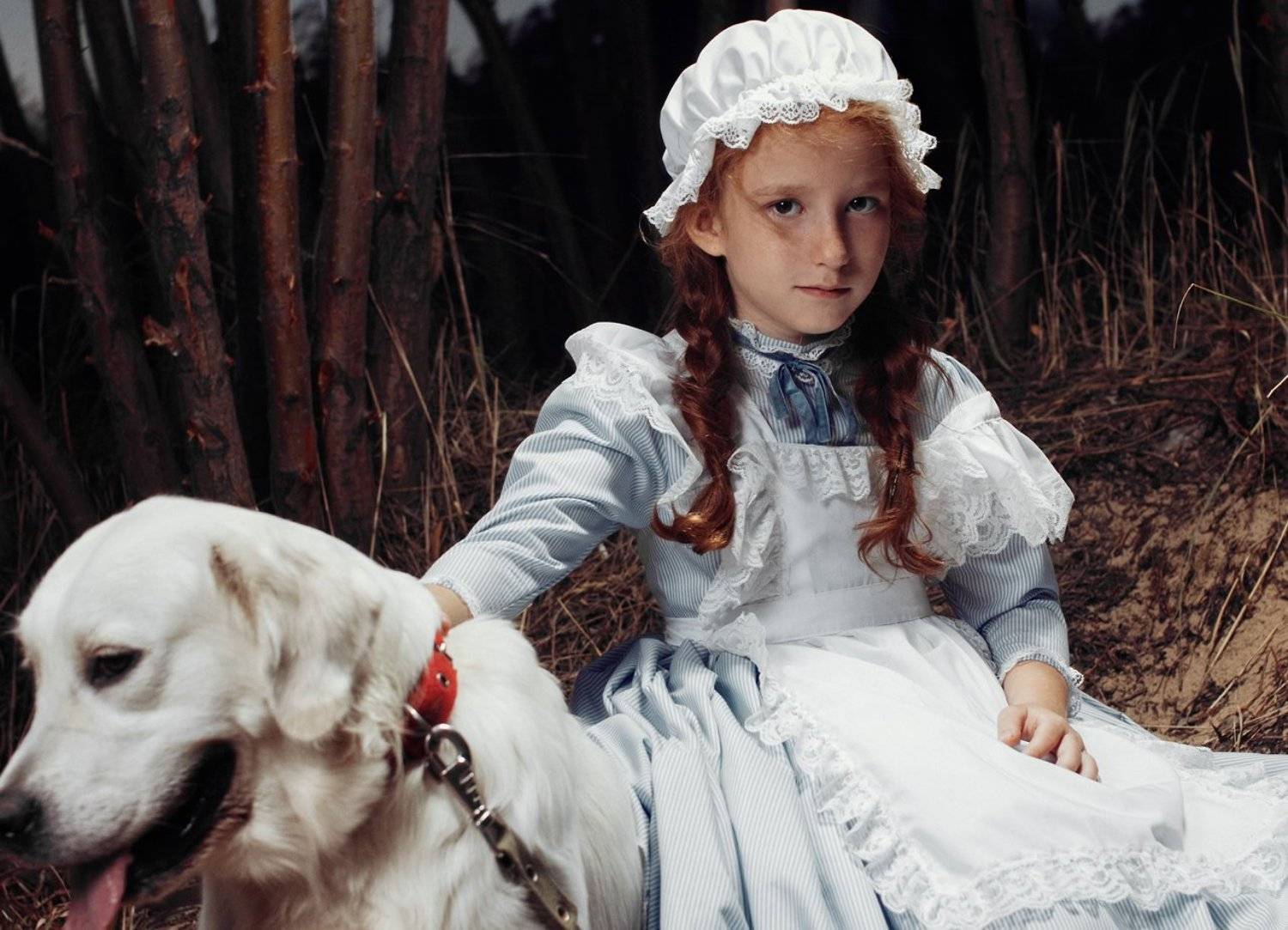 , Харитонов Александр