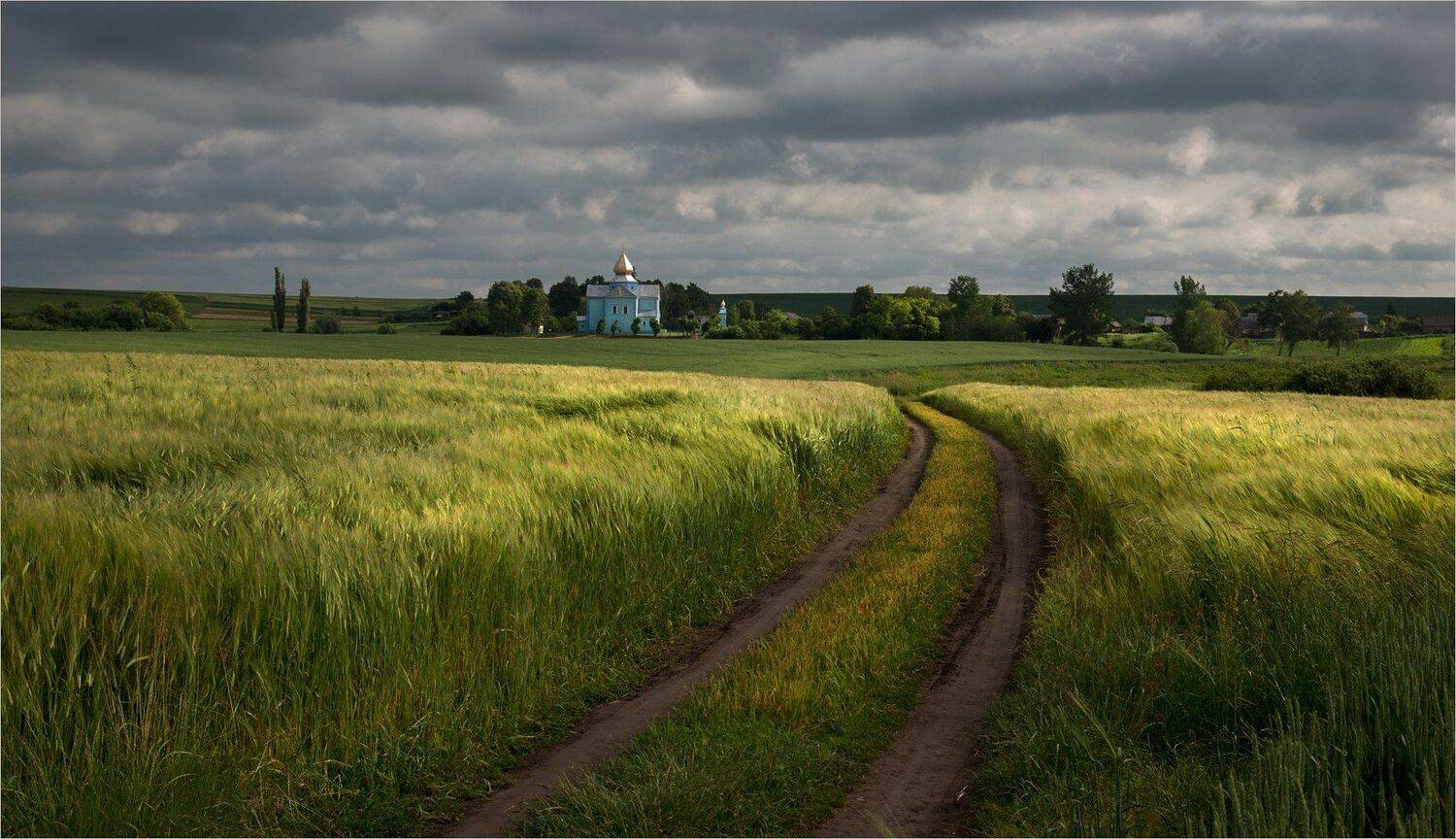 , Николай Шахманцир