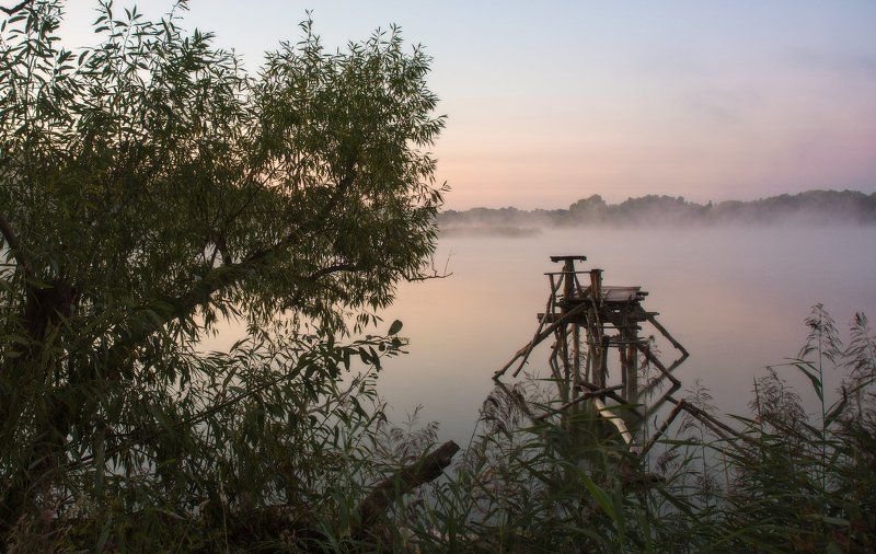 Берег, Вода, Дерево, Камыш, Мостик, Рассвет, Река, Туман, Утро Осеннее утро.... фото превью