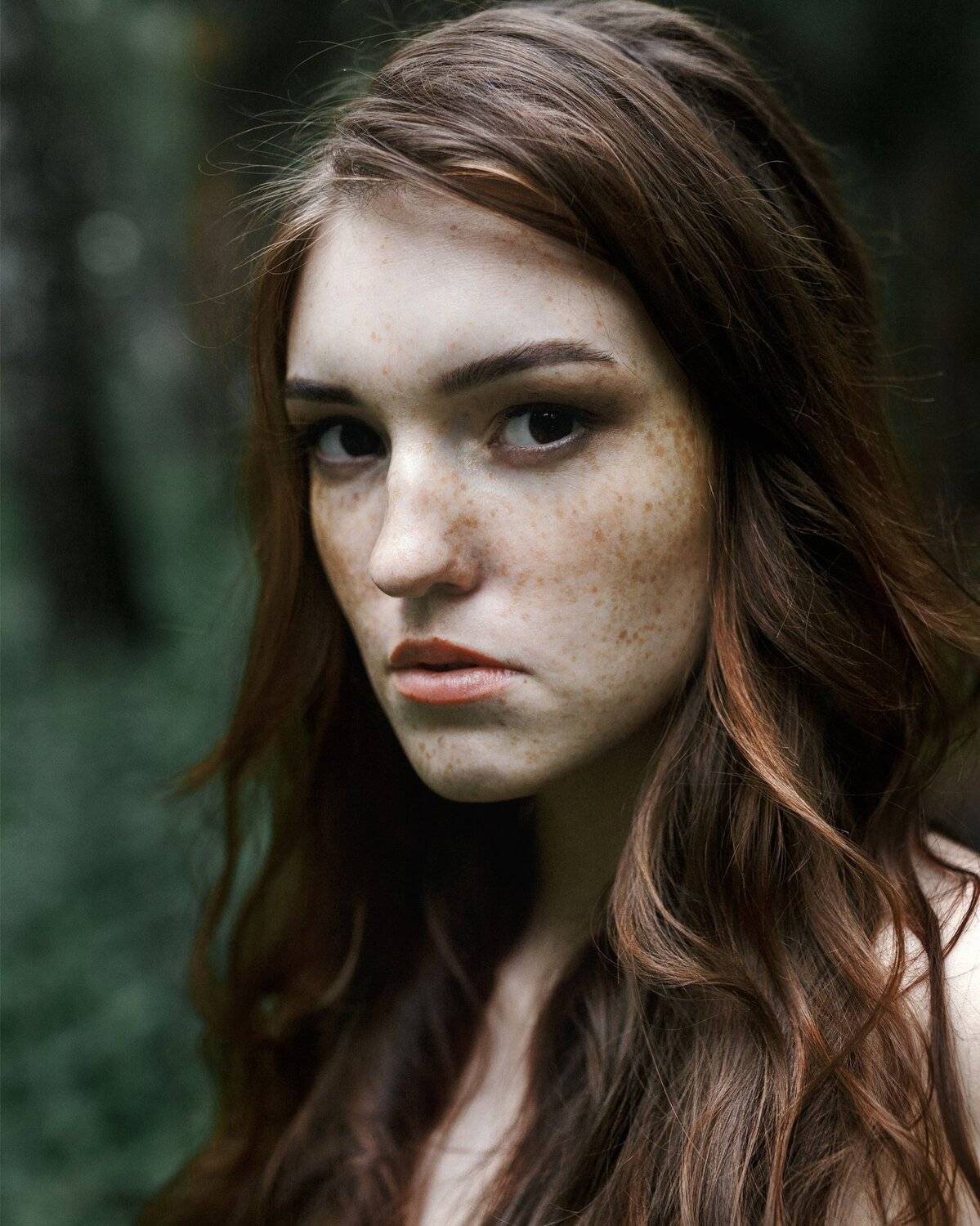 Портерт, Цвелёв Дмитрий