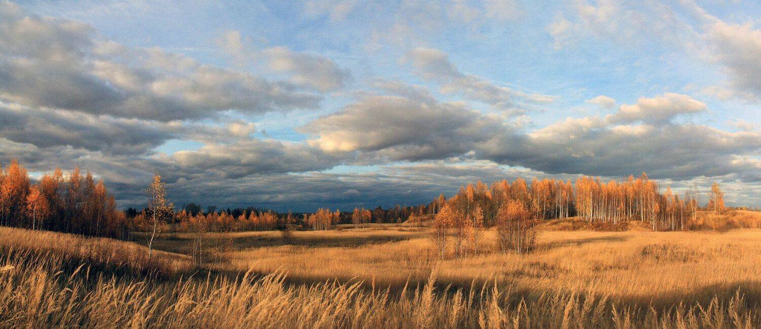 осень, Свистков Александр