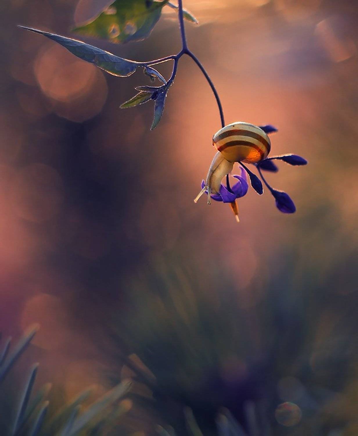 , Pawel Plucinski