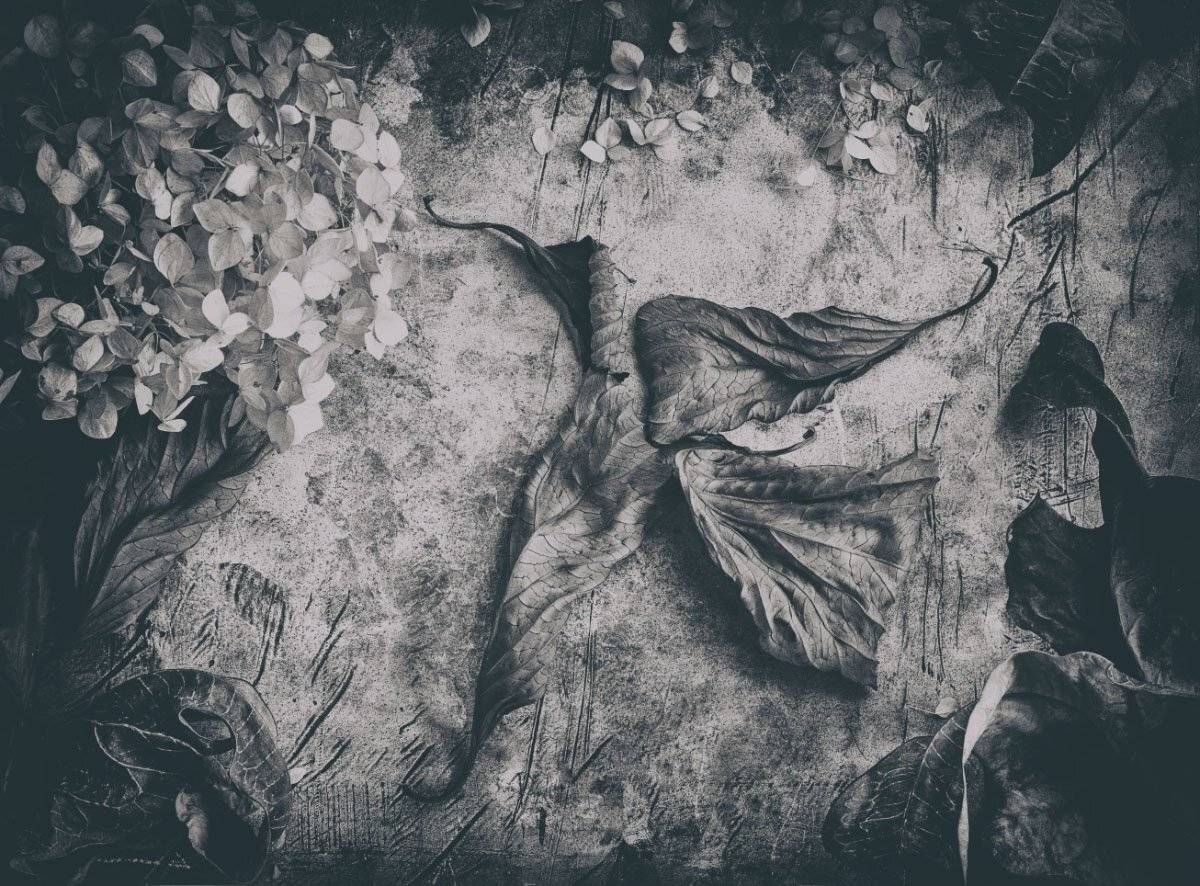 , Игорь Токарев