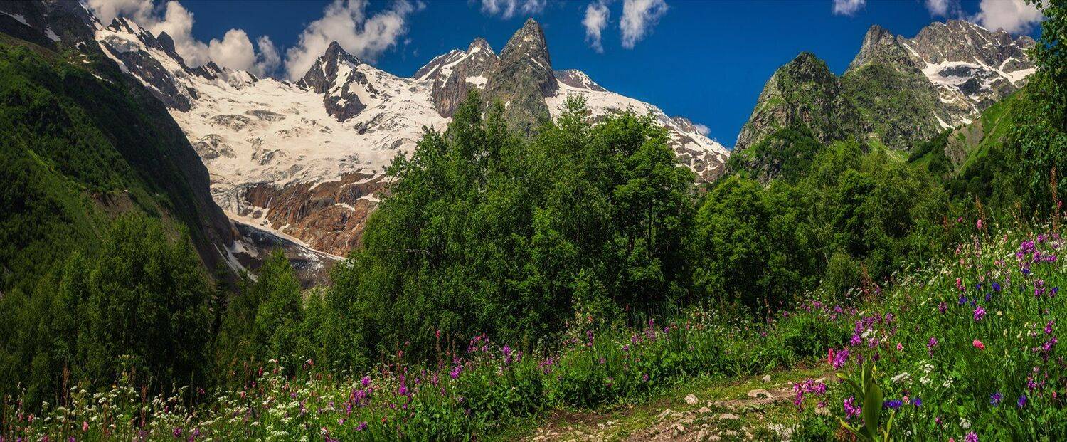 , Игорь Мелекесцев