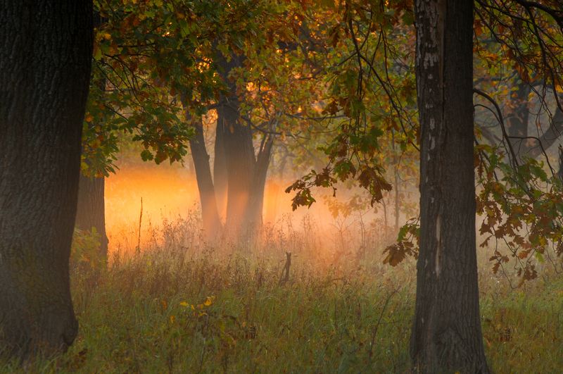 ***** фото превью