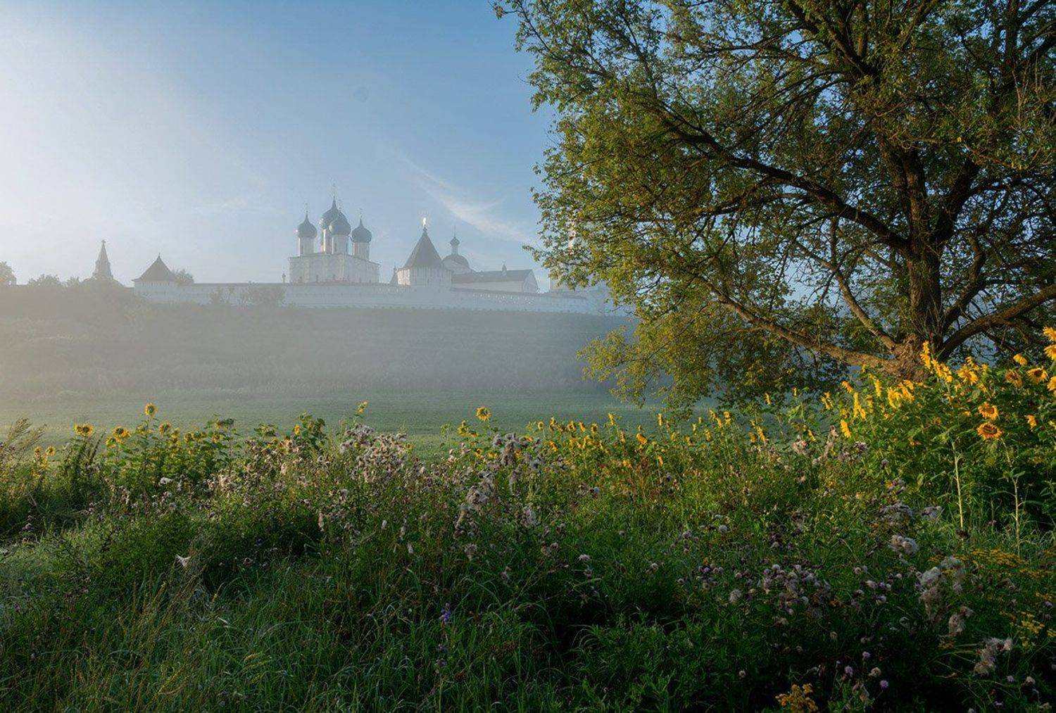 , Анатолий Зверев