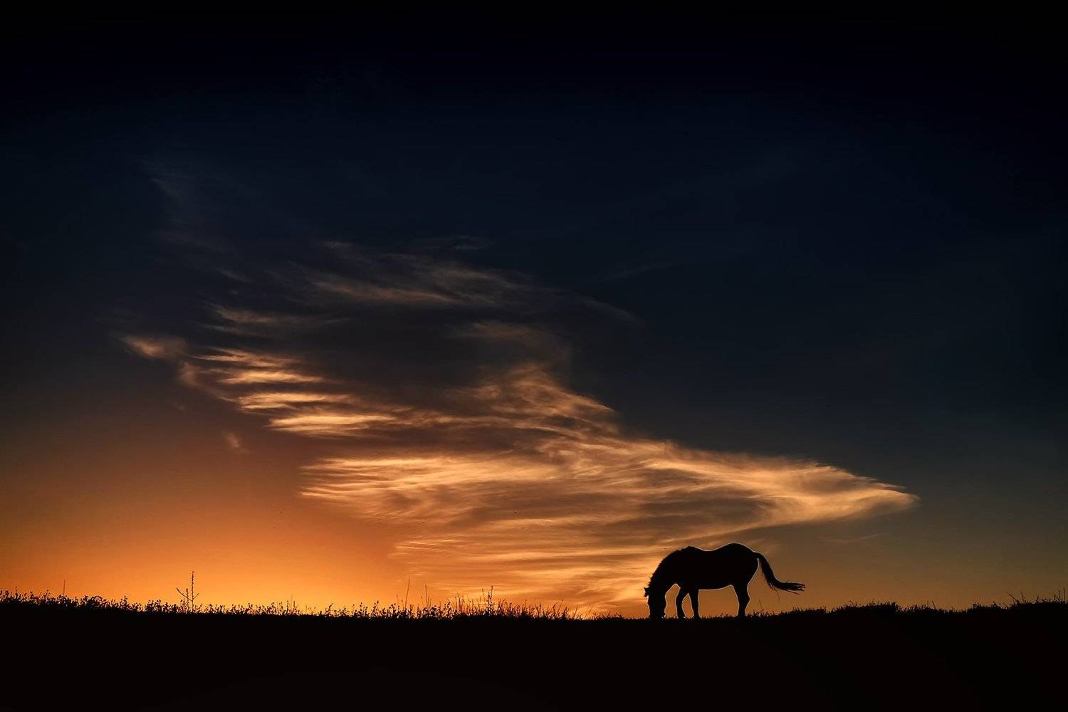 , Rimantas Bikulcius