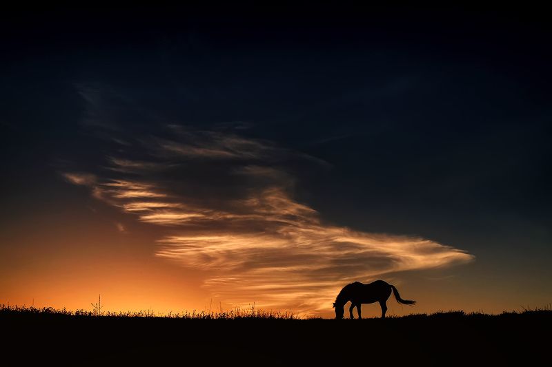 Прогулка под  облаками фото превью