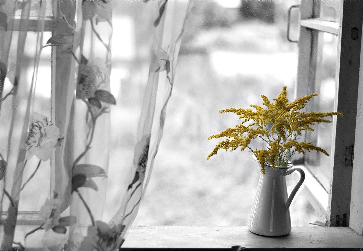 , Наталья Бочкарева