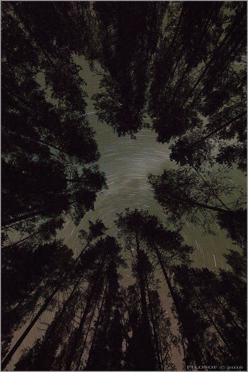 , Геннадий FILOSOF Шатов