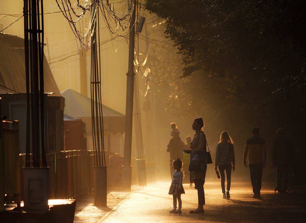 , Алексей Горохов