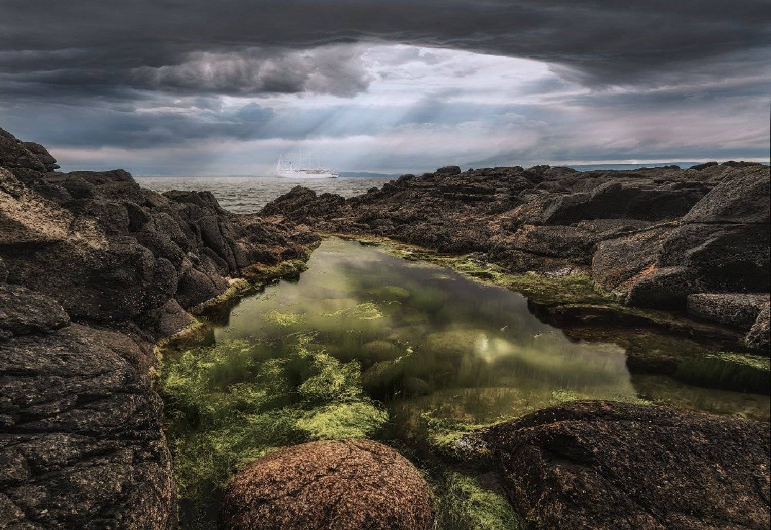 , Рашид Хайданов