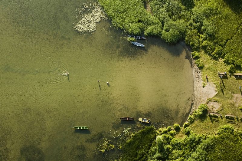 Раннее утро над Плещеевым озером Переславского района Ярославской области. фото превью