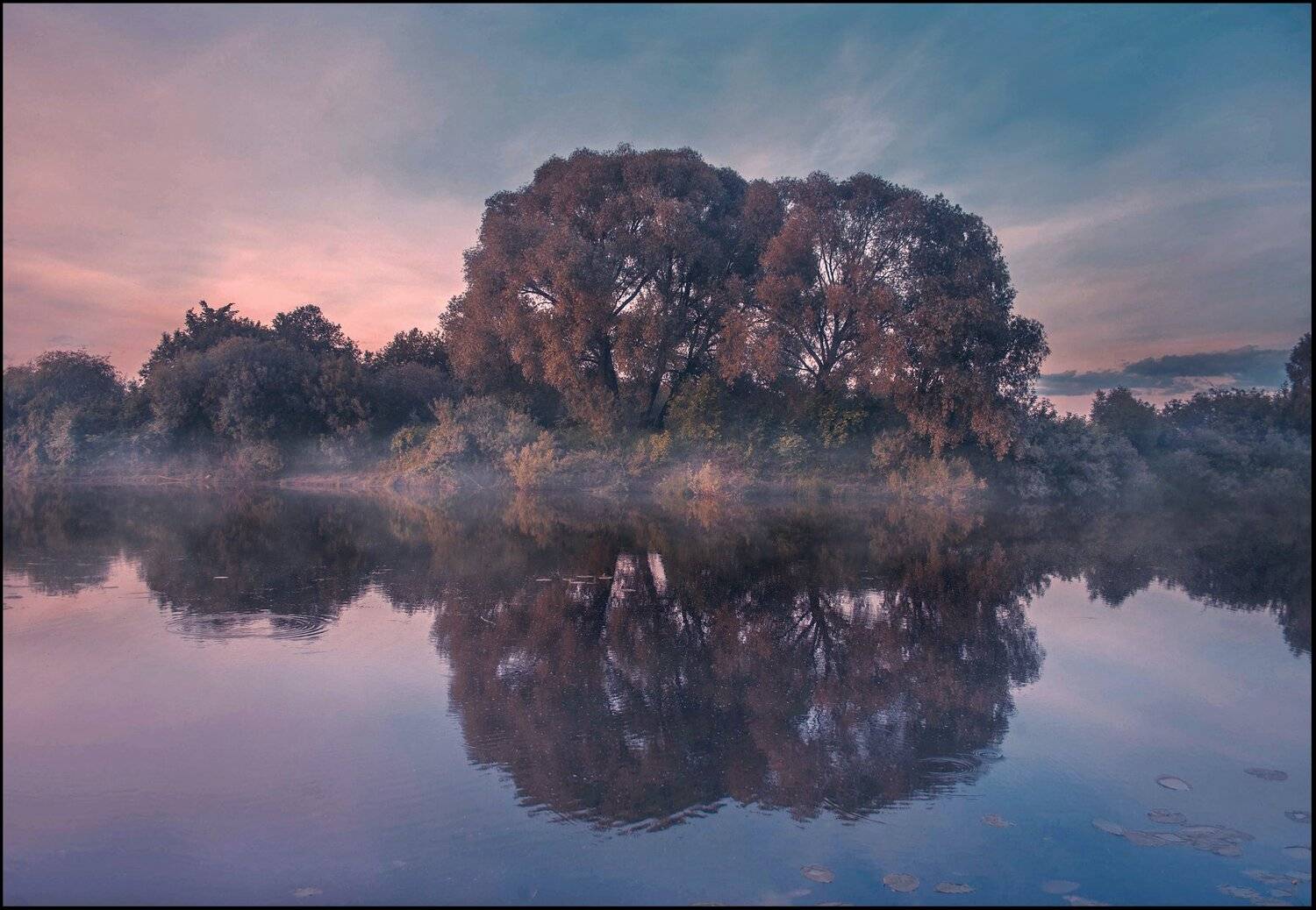 пейзаж, фото, природа, река, лес, Екатерина