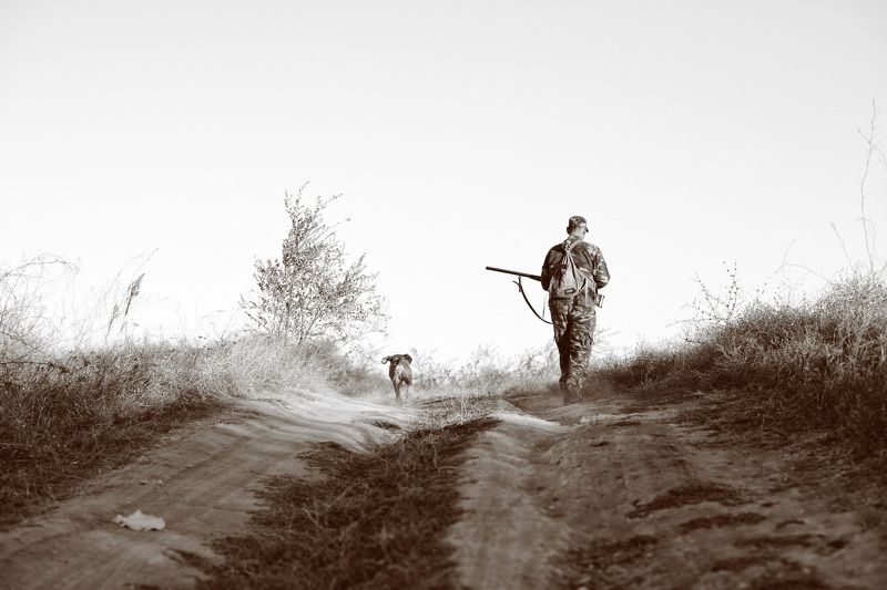 Дорога, Кусты, Охотник, Собака, Чб, Человек охотники.. фото превью