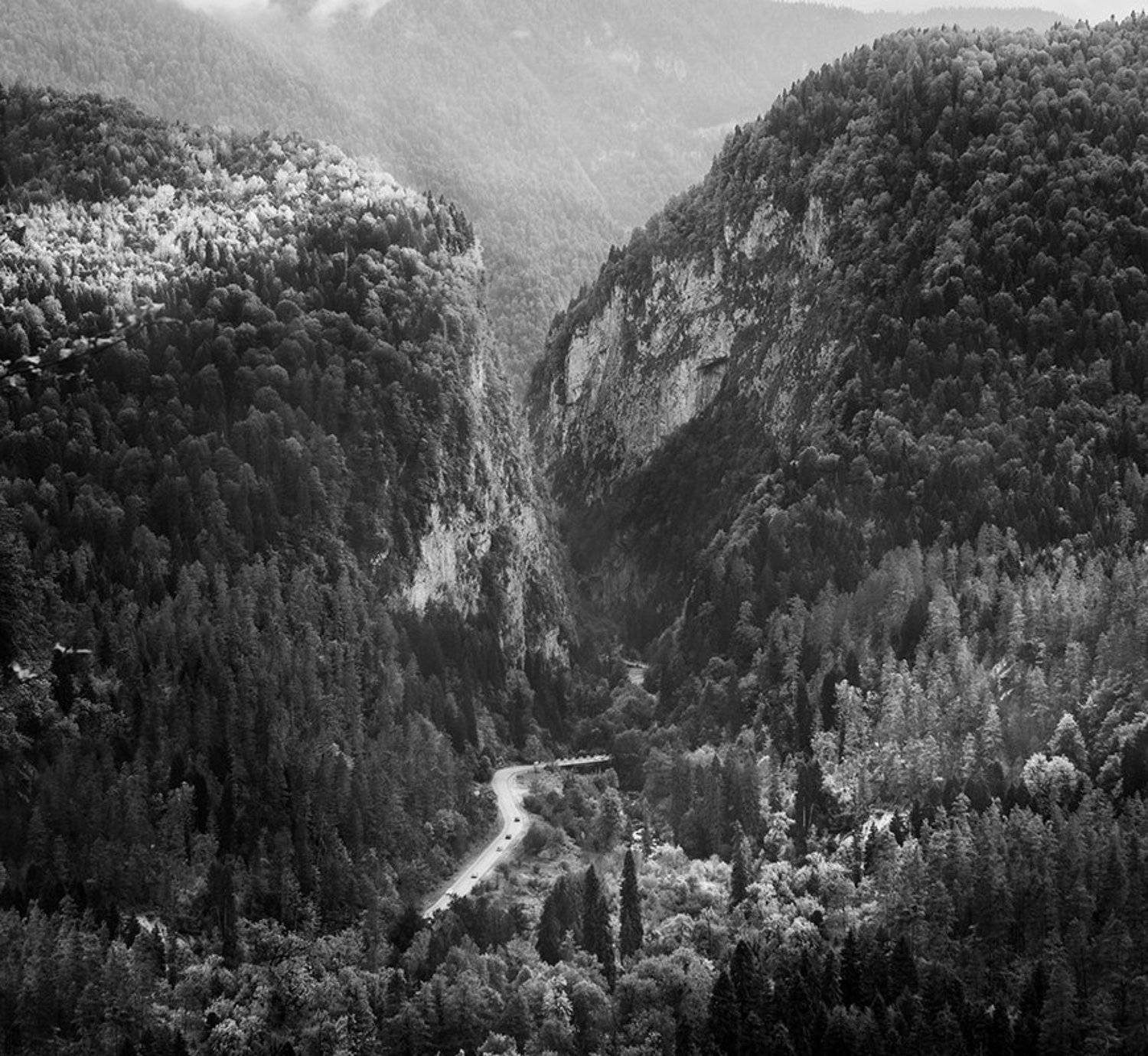 рица, абхазия, природа, парк, горы, дорога, отдых, лес, Пантелеев Алексей