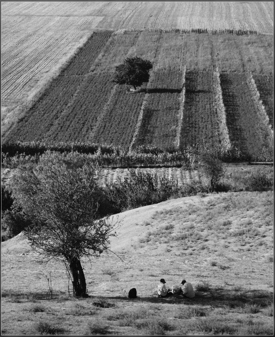 , Ильдар Садыков