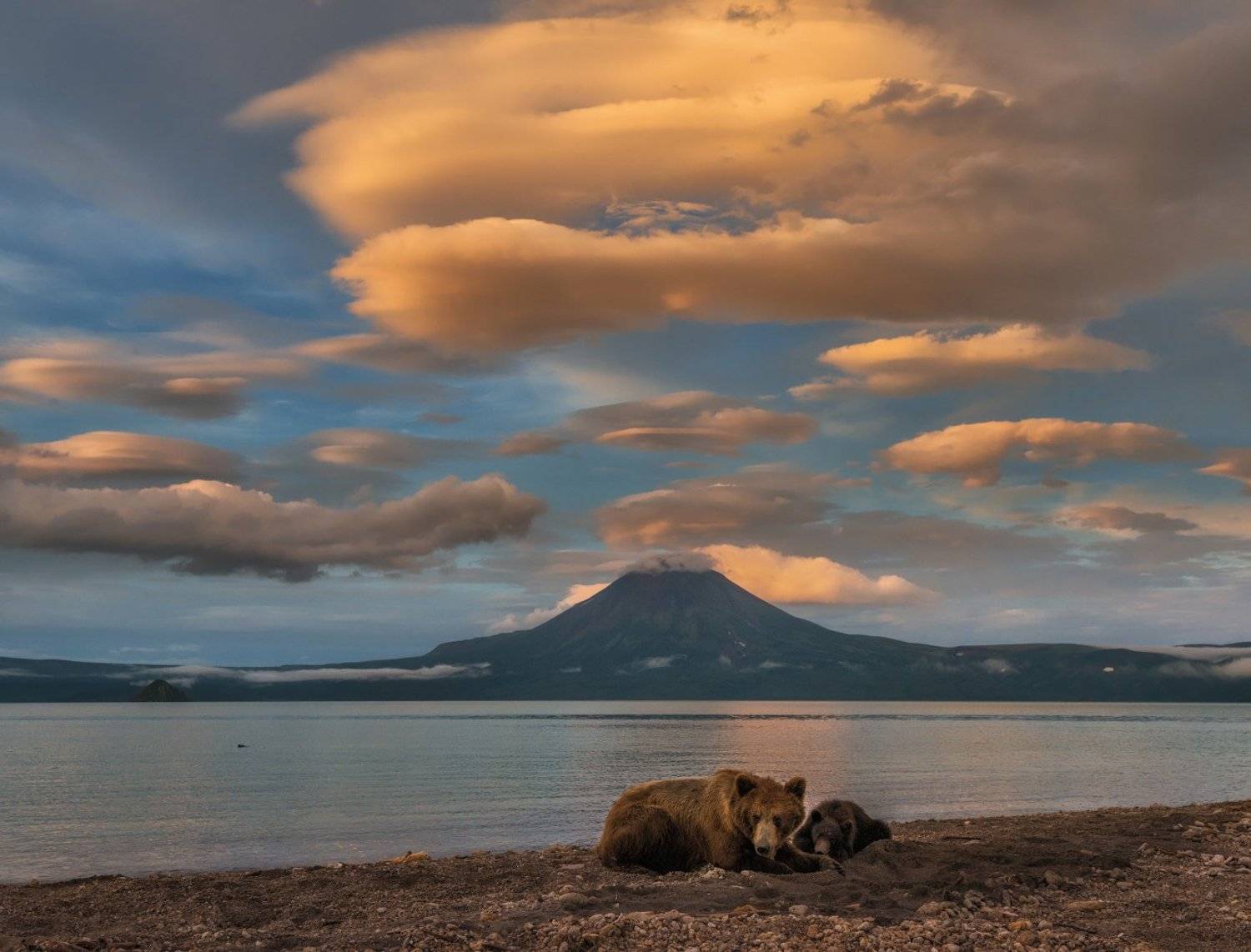 Камчатка, Курильское озеро, Андрей Грачев