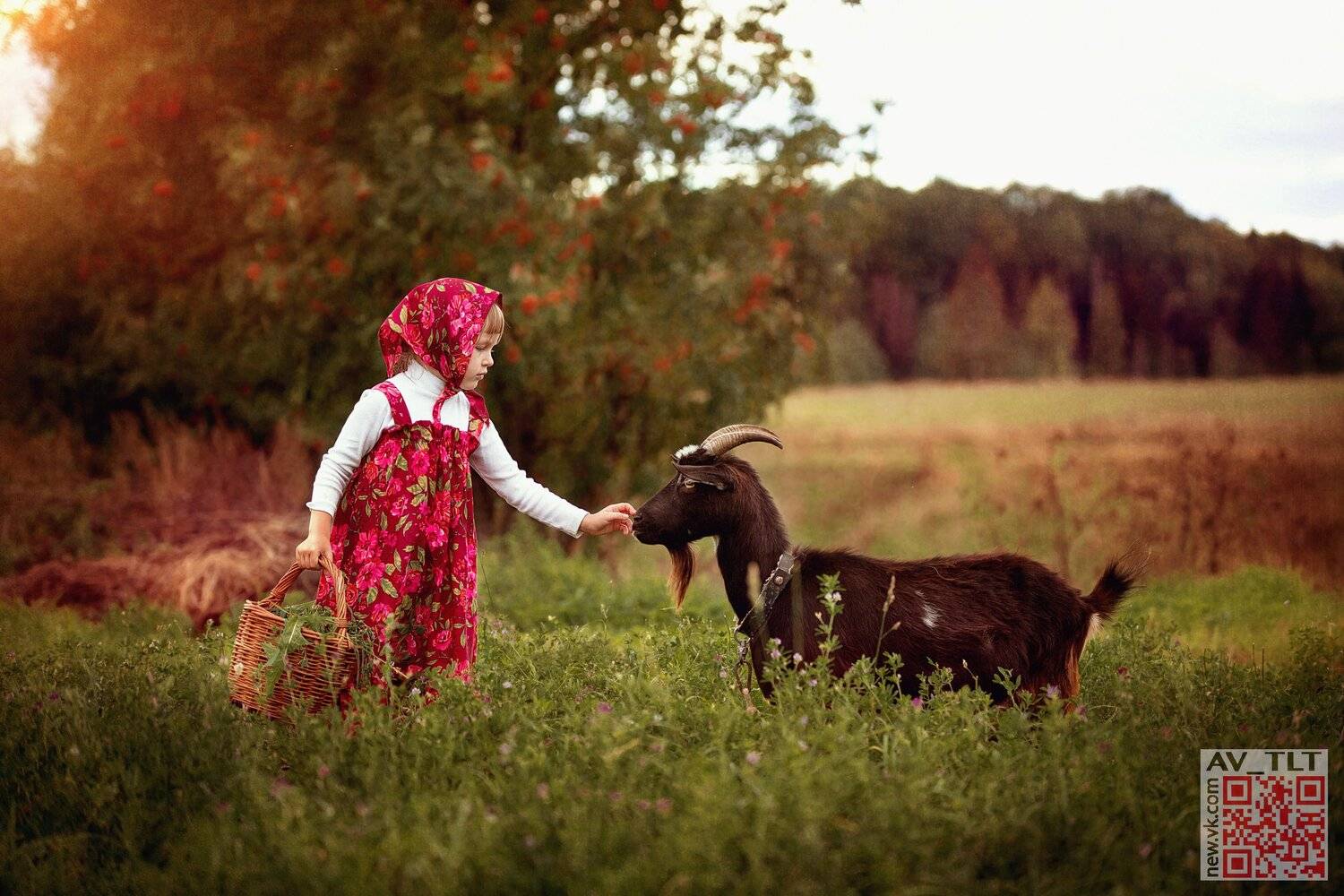 ребенок,девочка,поле,закат,козел,животные, Сухарь Александр