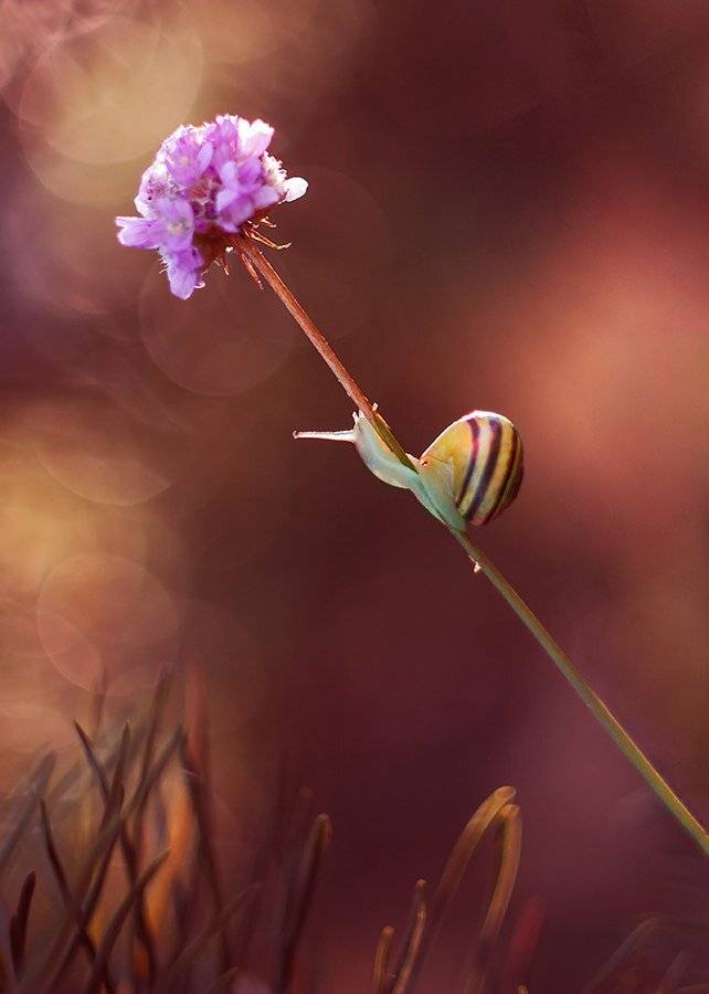 , Pawel Plucinski