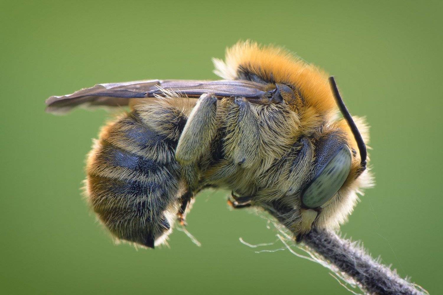 , Кузнецов Дмитрий