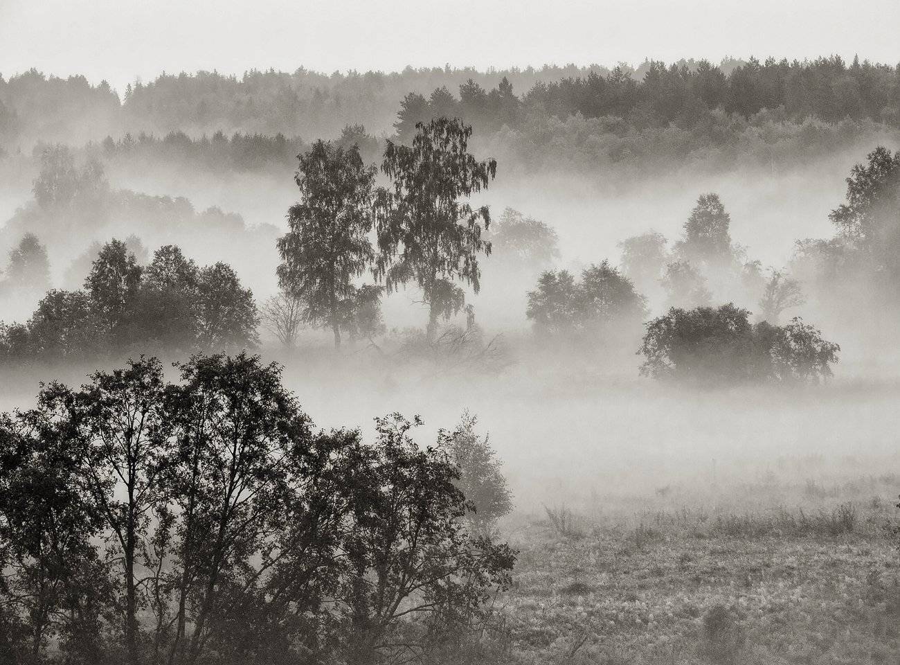 , Владимир Перепечаев