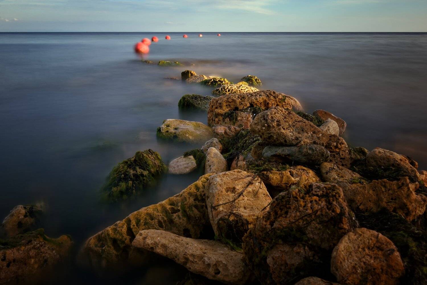 , Алексей Никонов