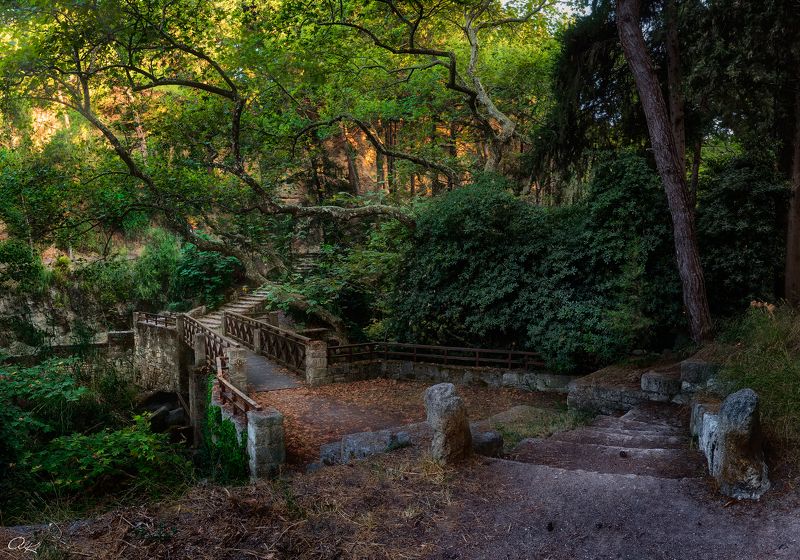 Вечер в парке фото превью