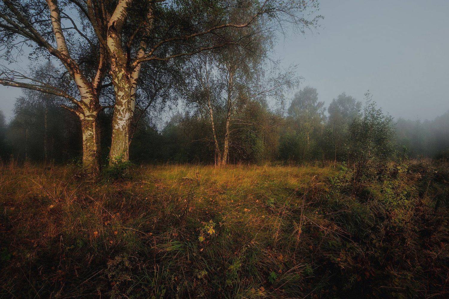 , Сергей (Bekr)