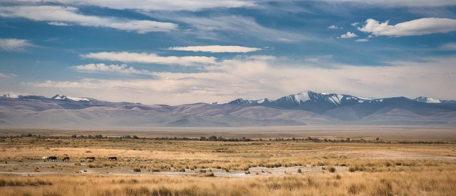 панорама, пейзаж, природа, степь, горы, хребет, большой, широкий, лошади, Алтай, сибирь, Дмитрий Антипов
