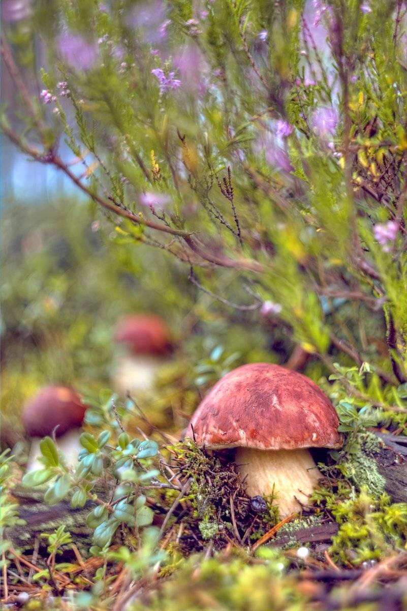 , Сергей Кузнецов