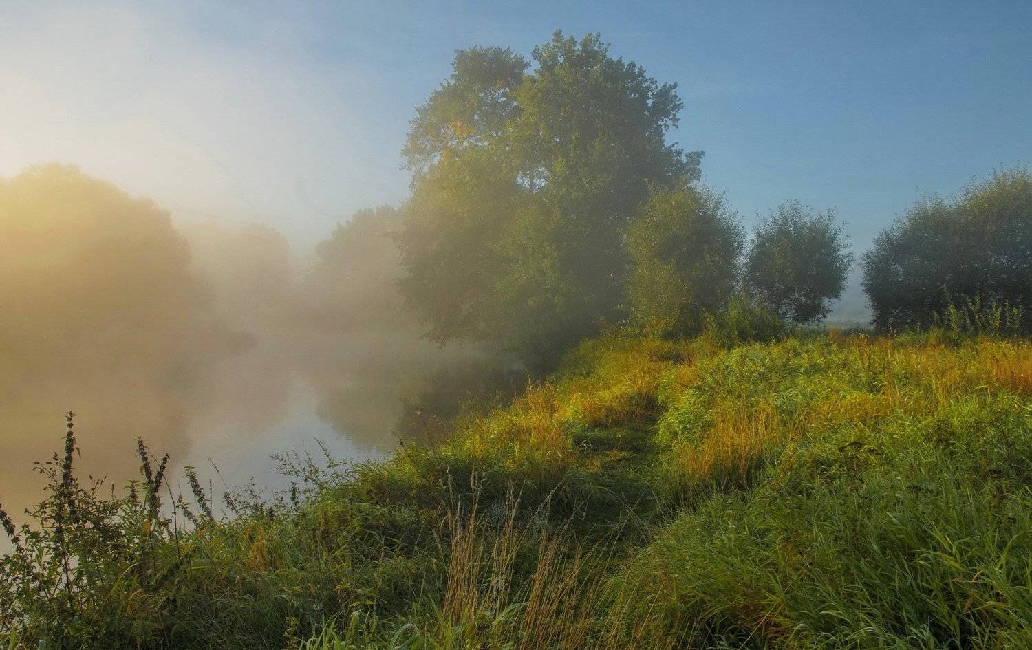 , Александр Гвоздь