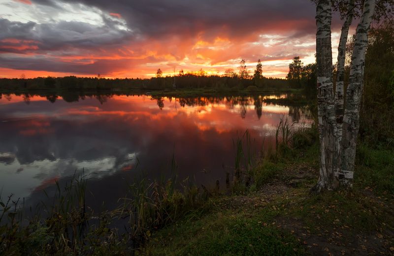 *** фото превью