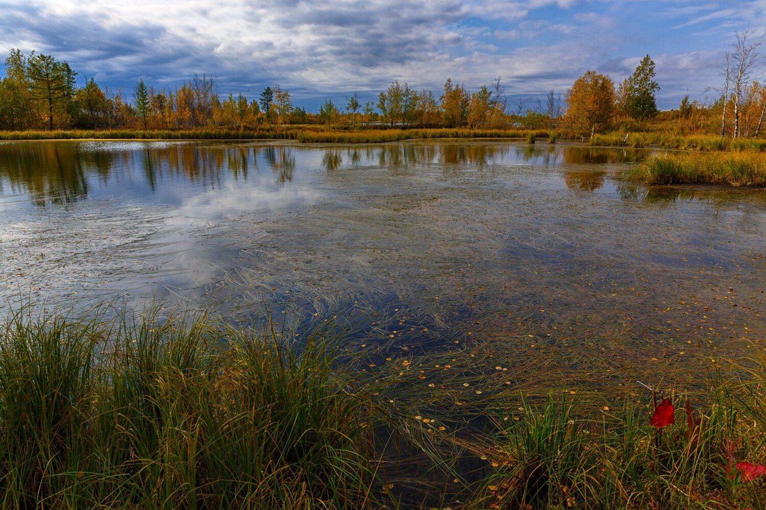 Canon, Осень, Пейзаж, Природа, Салехард, Север, Сибирь, Ямал, Евгений Кужилев
