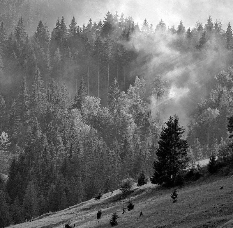 //// фото превью