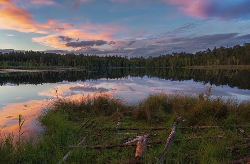 Лесное озеро фото превью
