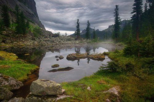 Утро на Таежном