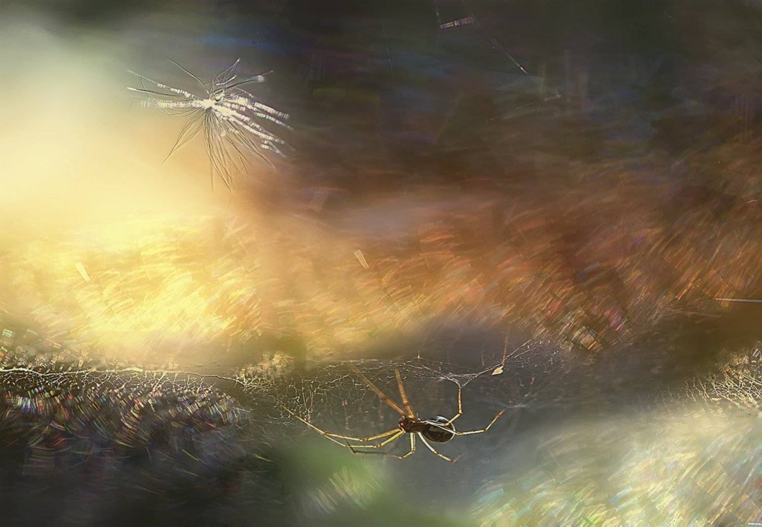 , Галина  Юняева