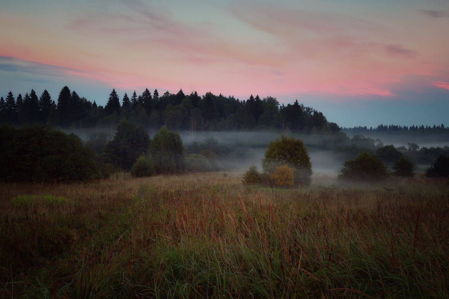 , Алексей Никонов